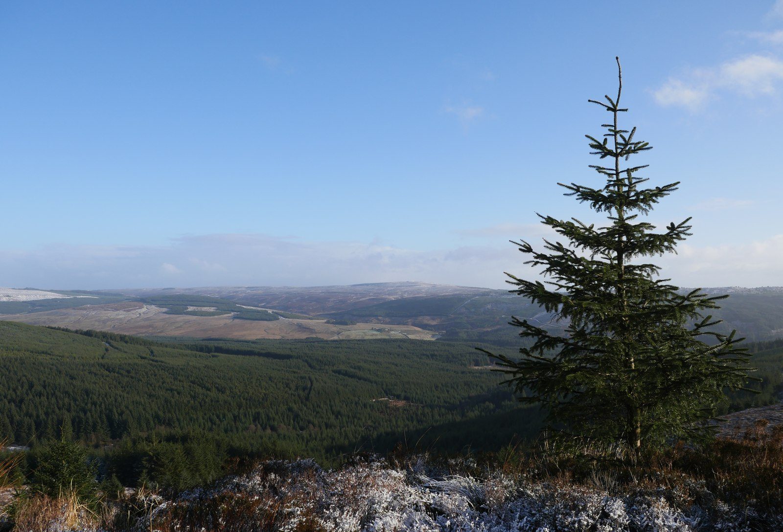 Kielder Water Deadwater Fell Circuit