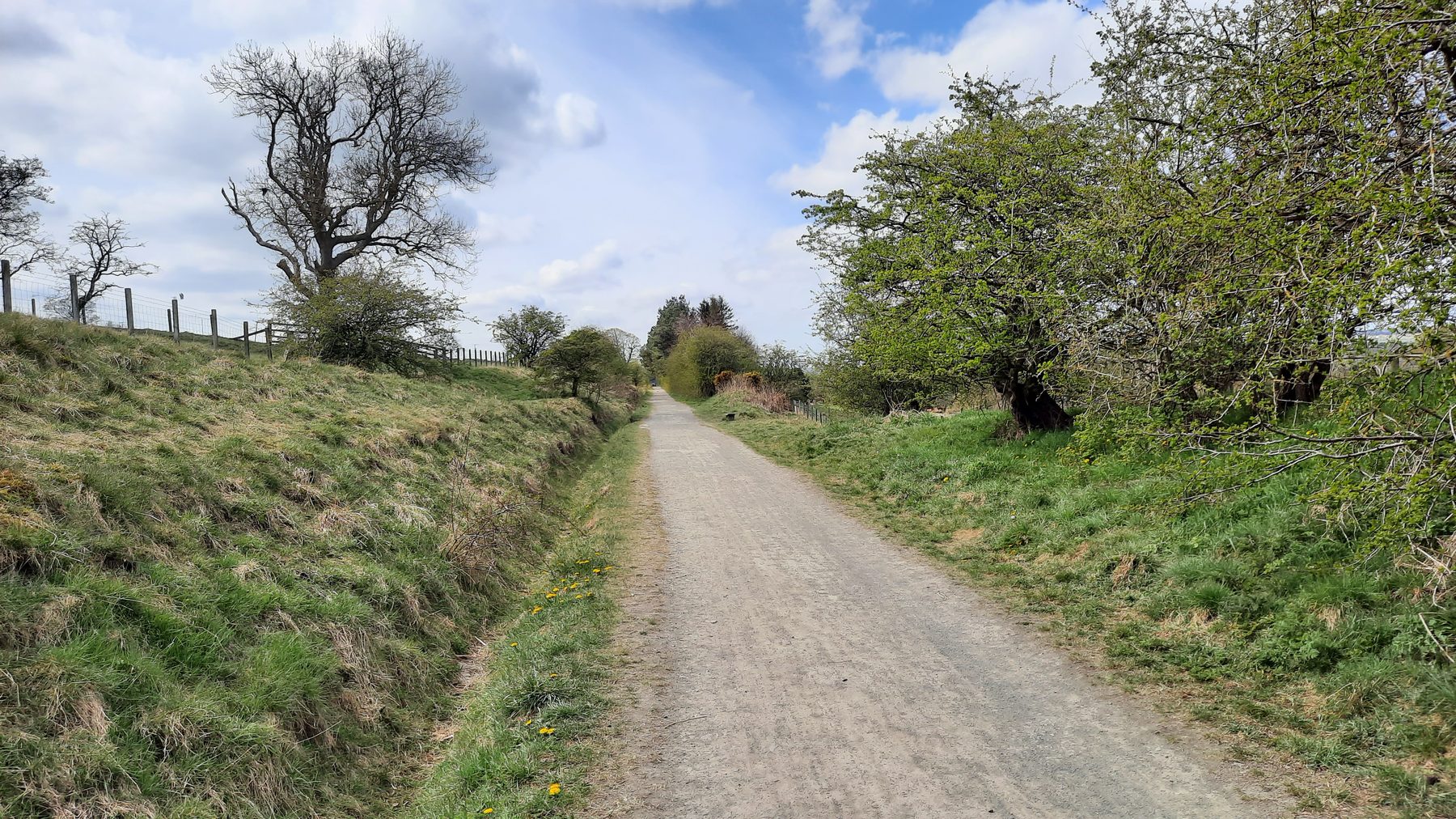 Lanchester Valley Railway Path