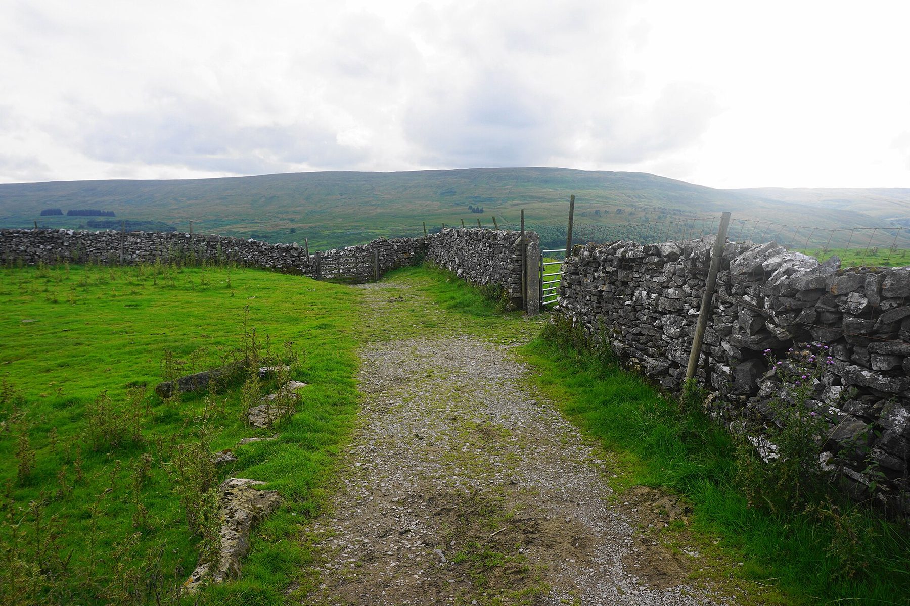 Langstrothdale Chase Walk from Buckden