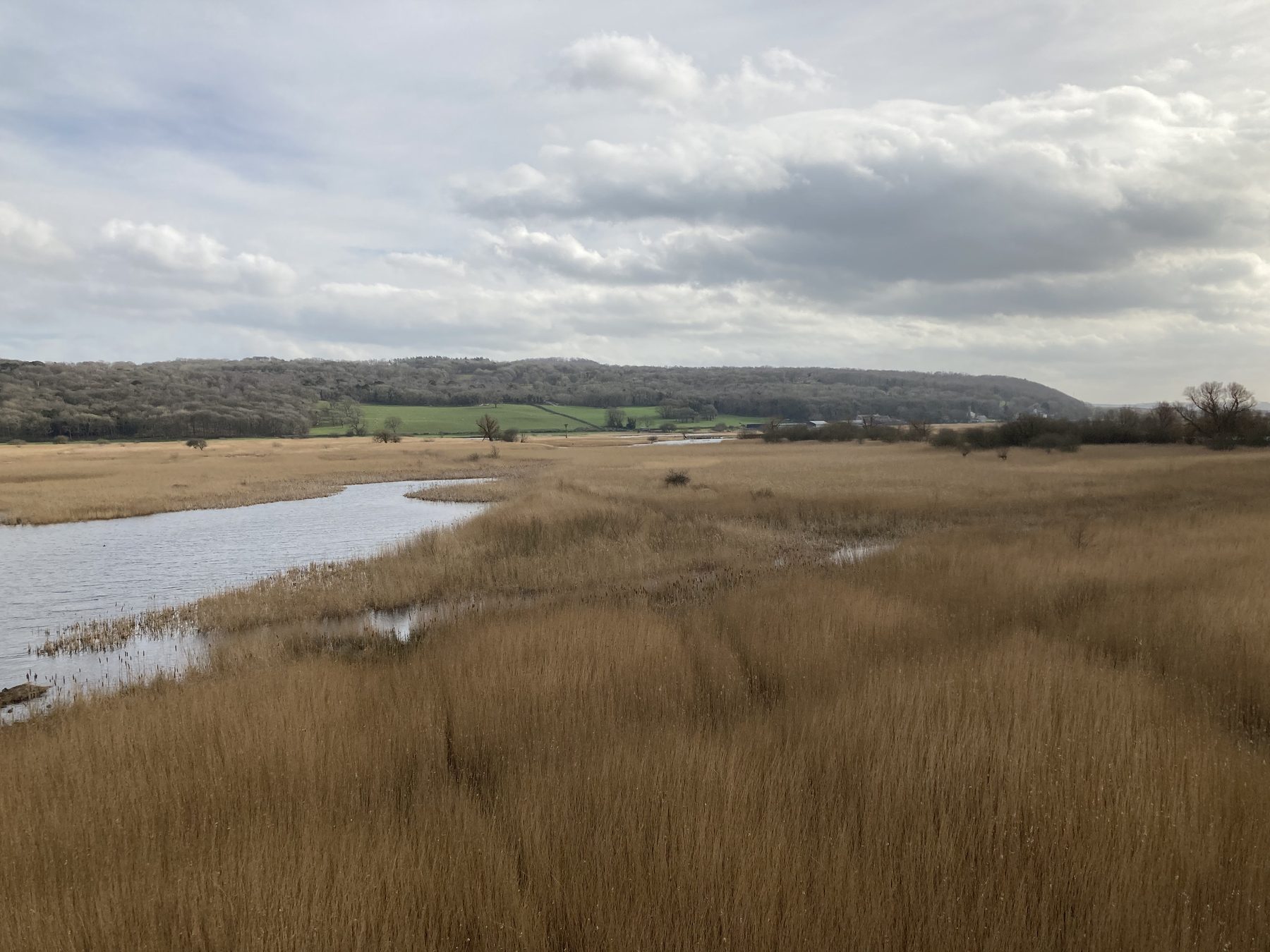 Leighton Moss RSPB Circular Walk