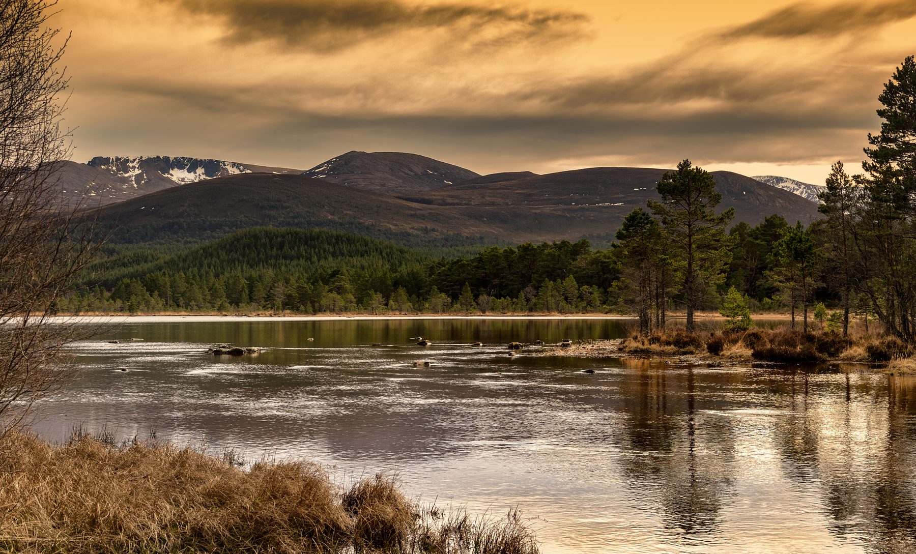 Loch Morlich to Ryvoan Pass