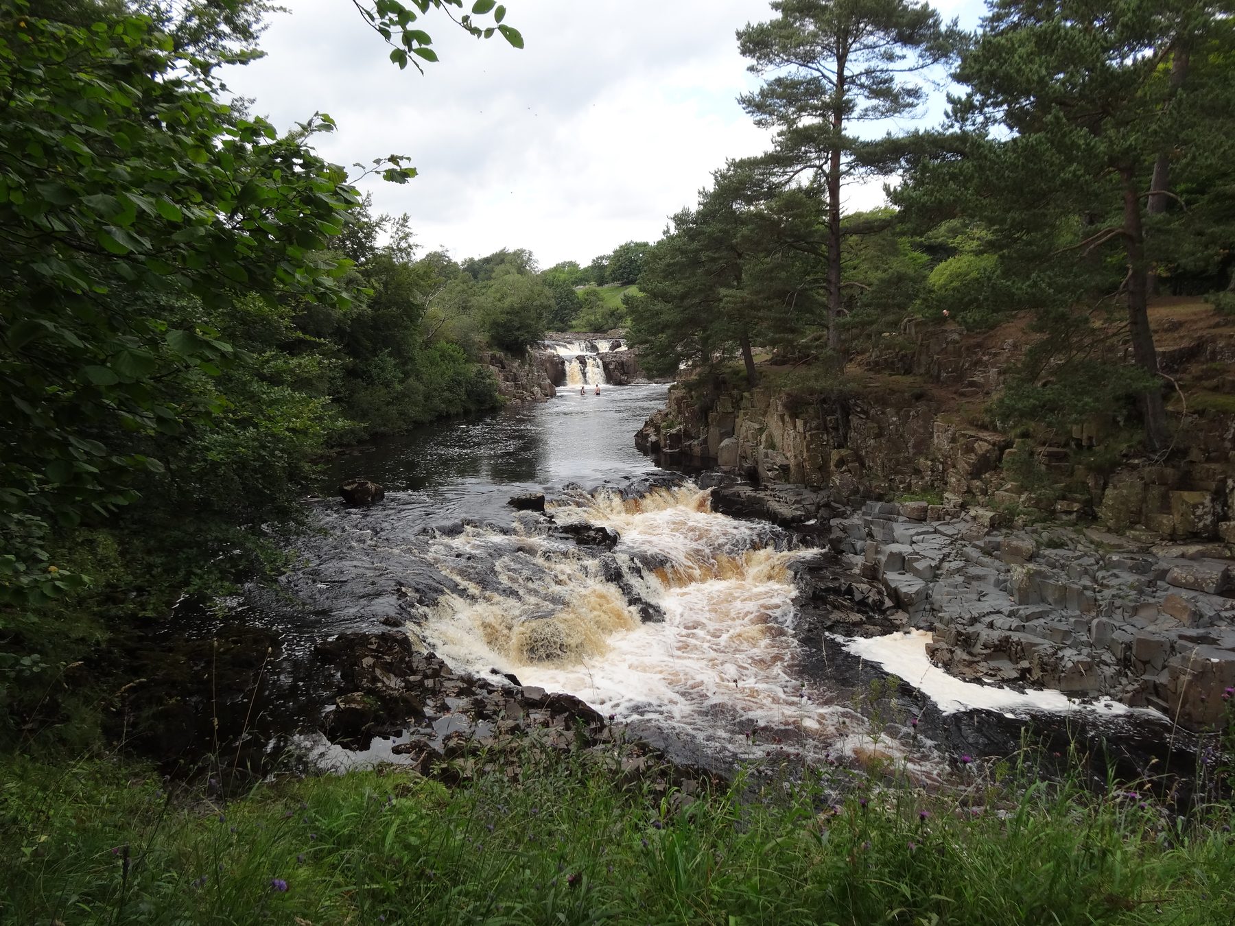 Low Force and Wynch Bridge Circular