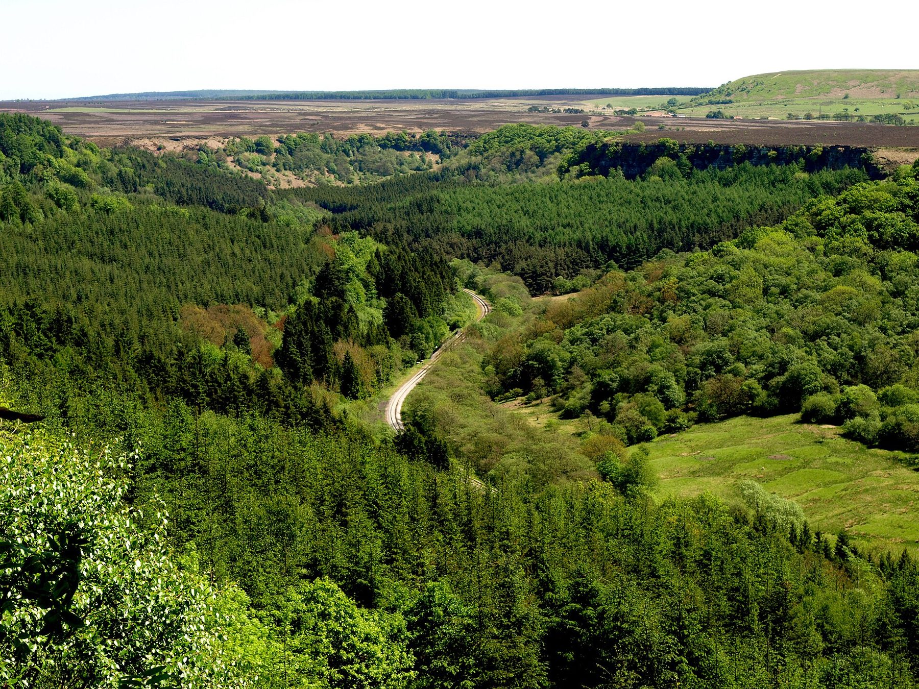 Newtondale Gorge Walk from Levisham Station