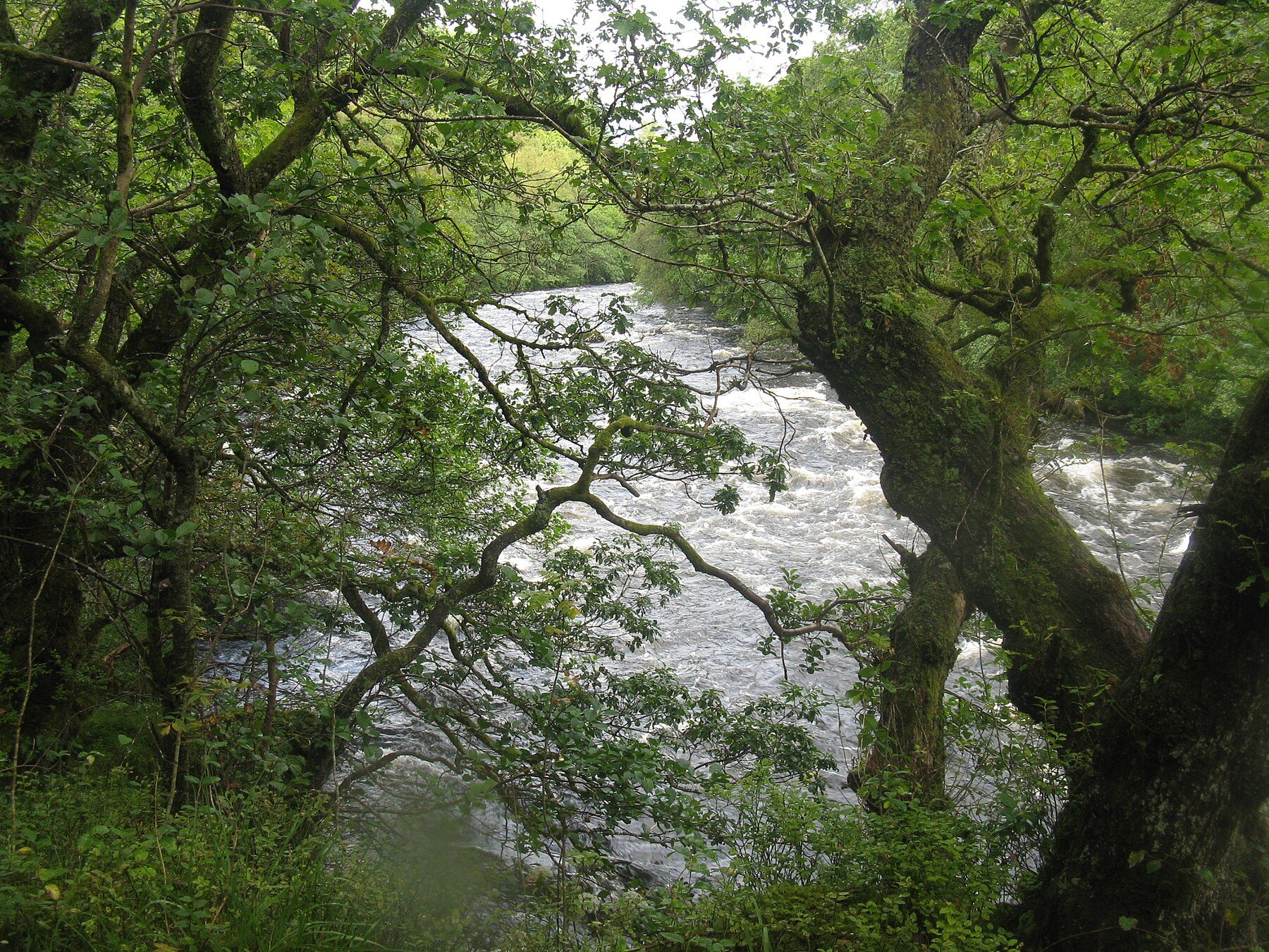 Pass of Leny and River Leny Walk