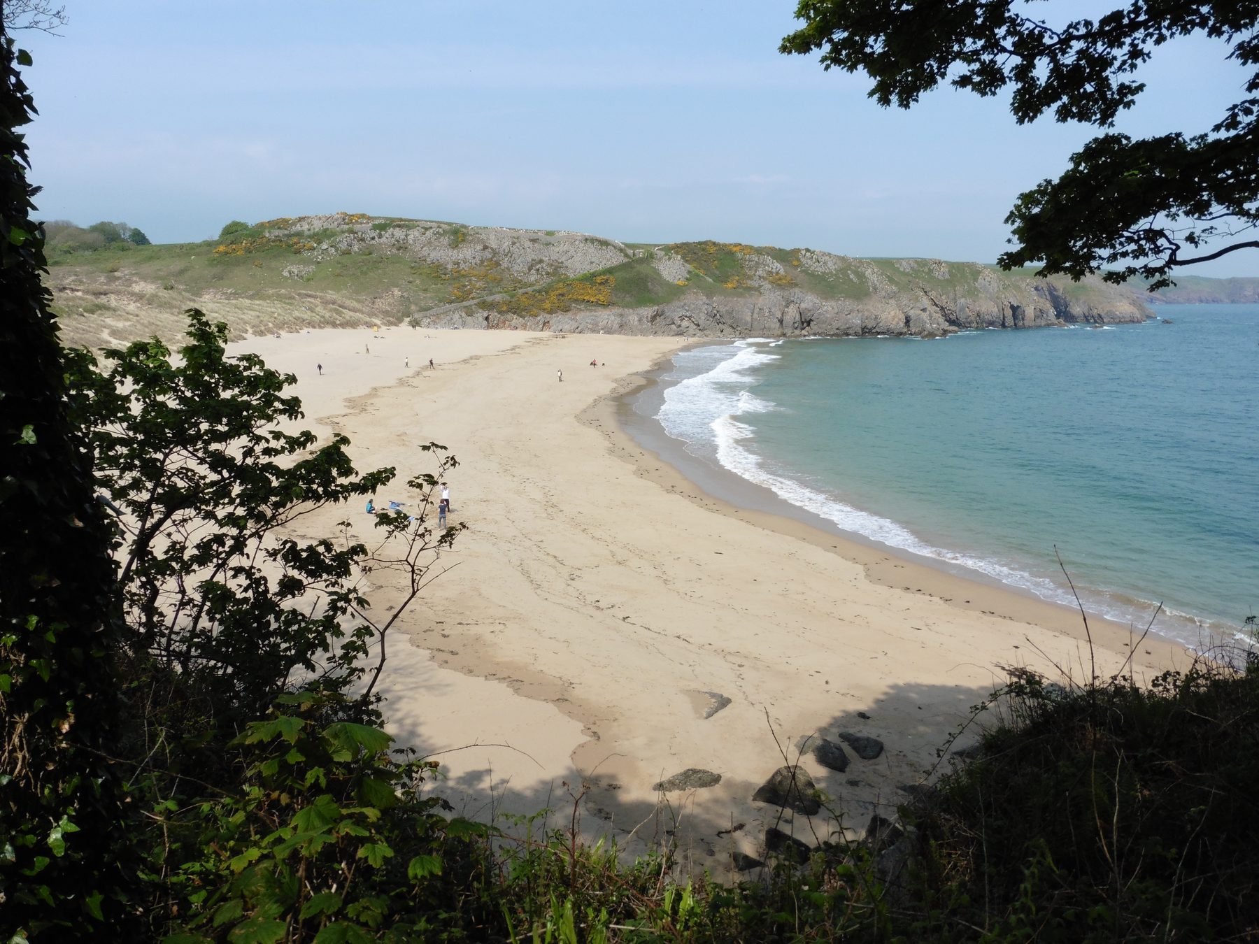 Pembrokeshire: Barafundle Bay Coastal Loop