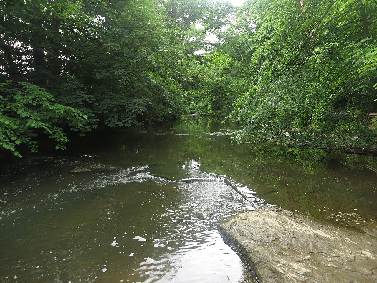 Plessey Woods River Blyth Walk