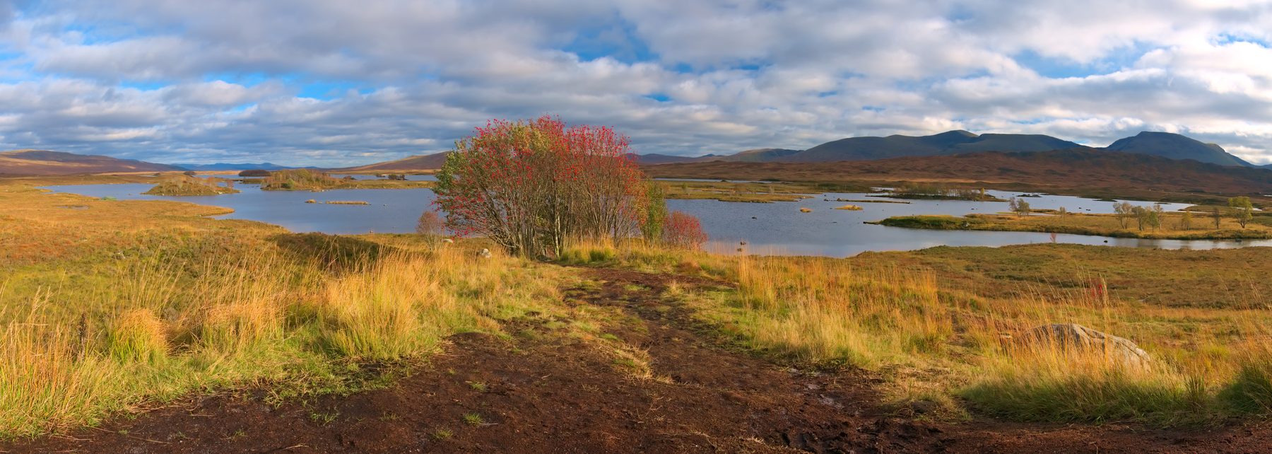 Rannoch Moor Edge Walk from Bridge of Orchy