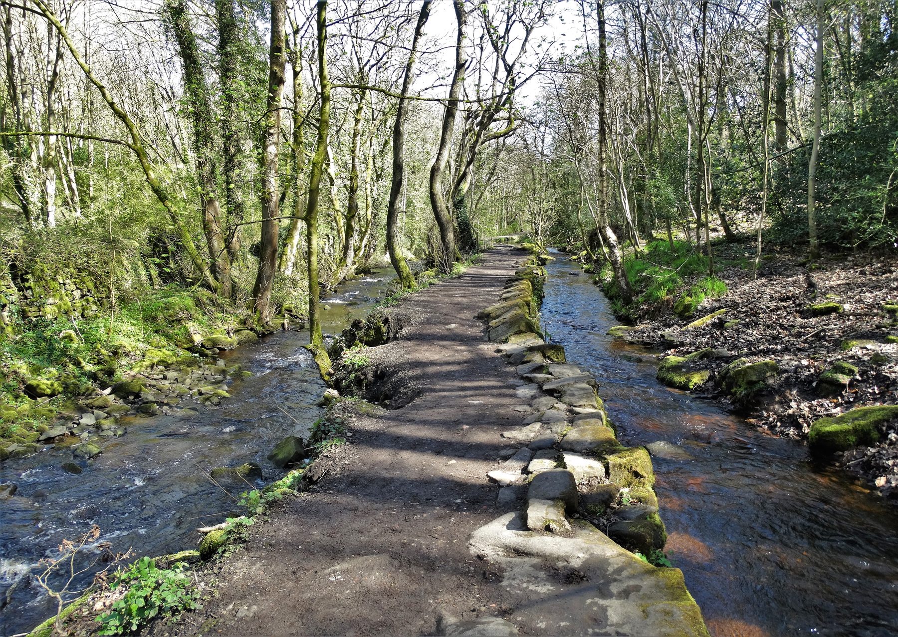 Rivelin Valley Circular Walk, Sheffield