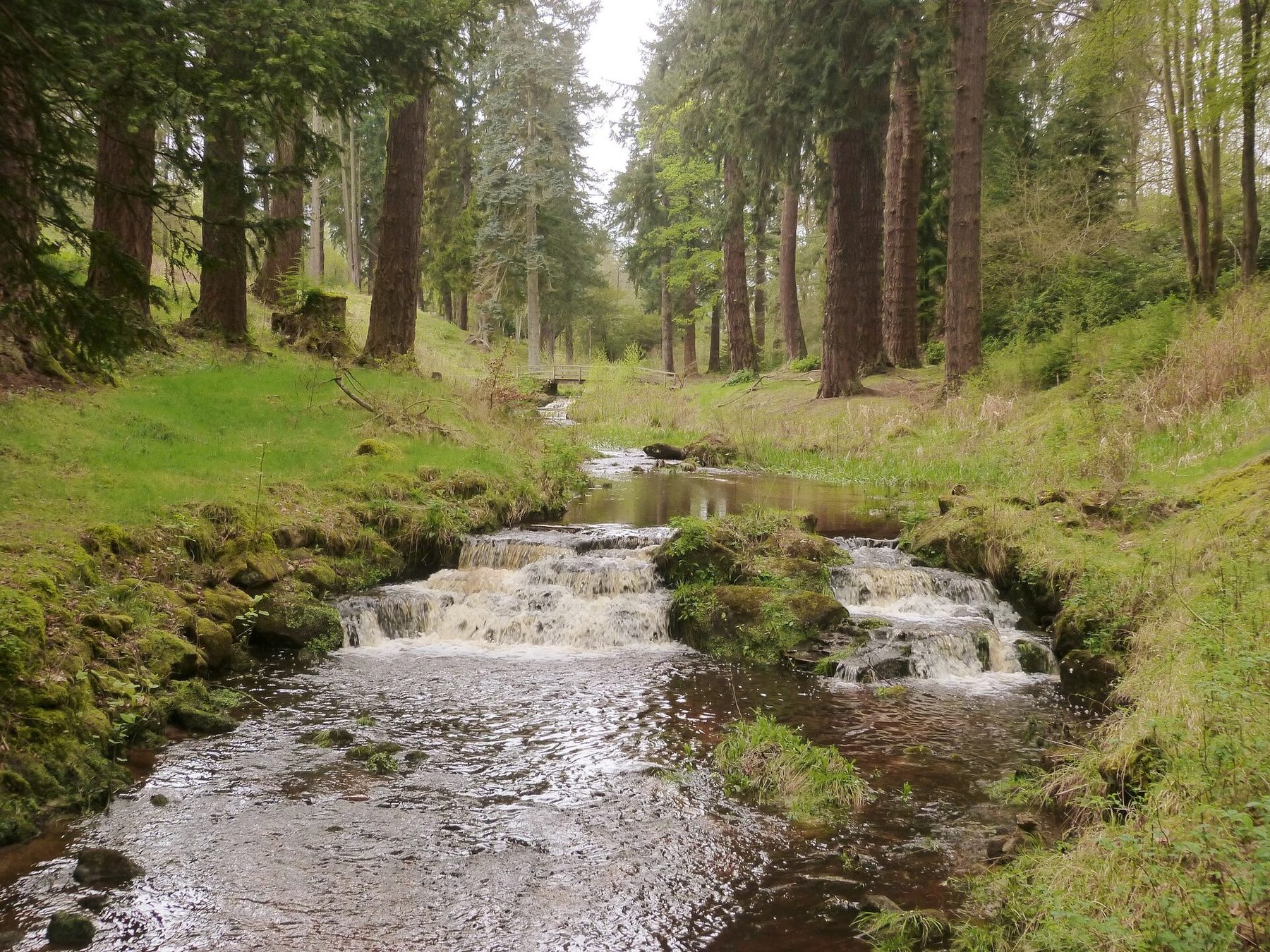 Rothbury to Cragside Estate Walk