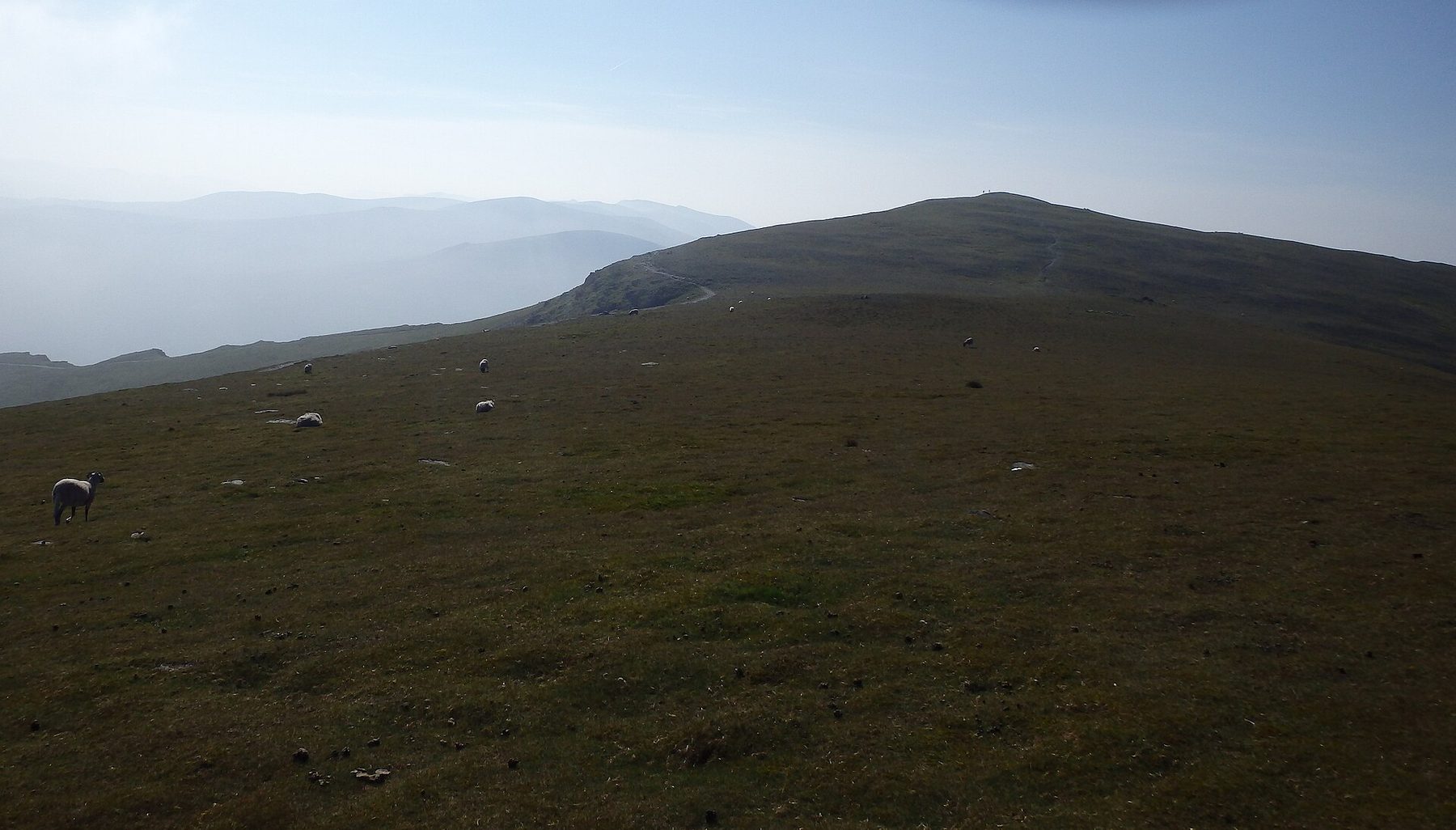 Saddleback (Blencathra) from Scales