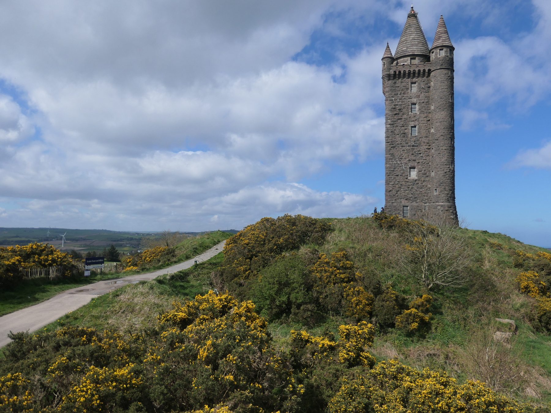 Scrabo Country Park and Tower Circular