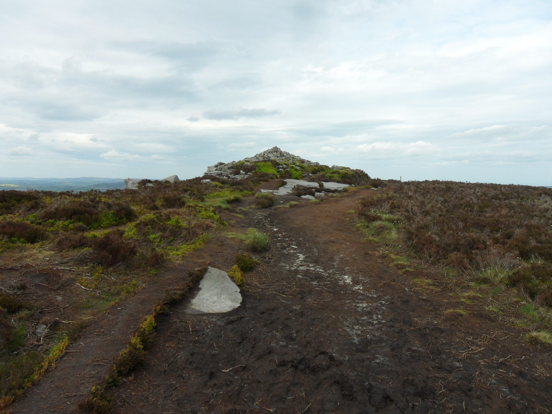 Simonside Hills and Lordenshaws Circular