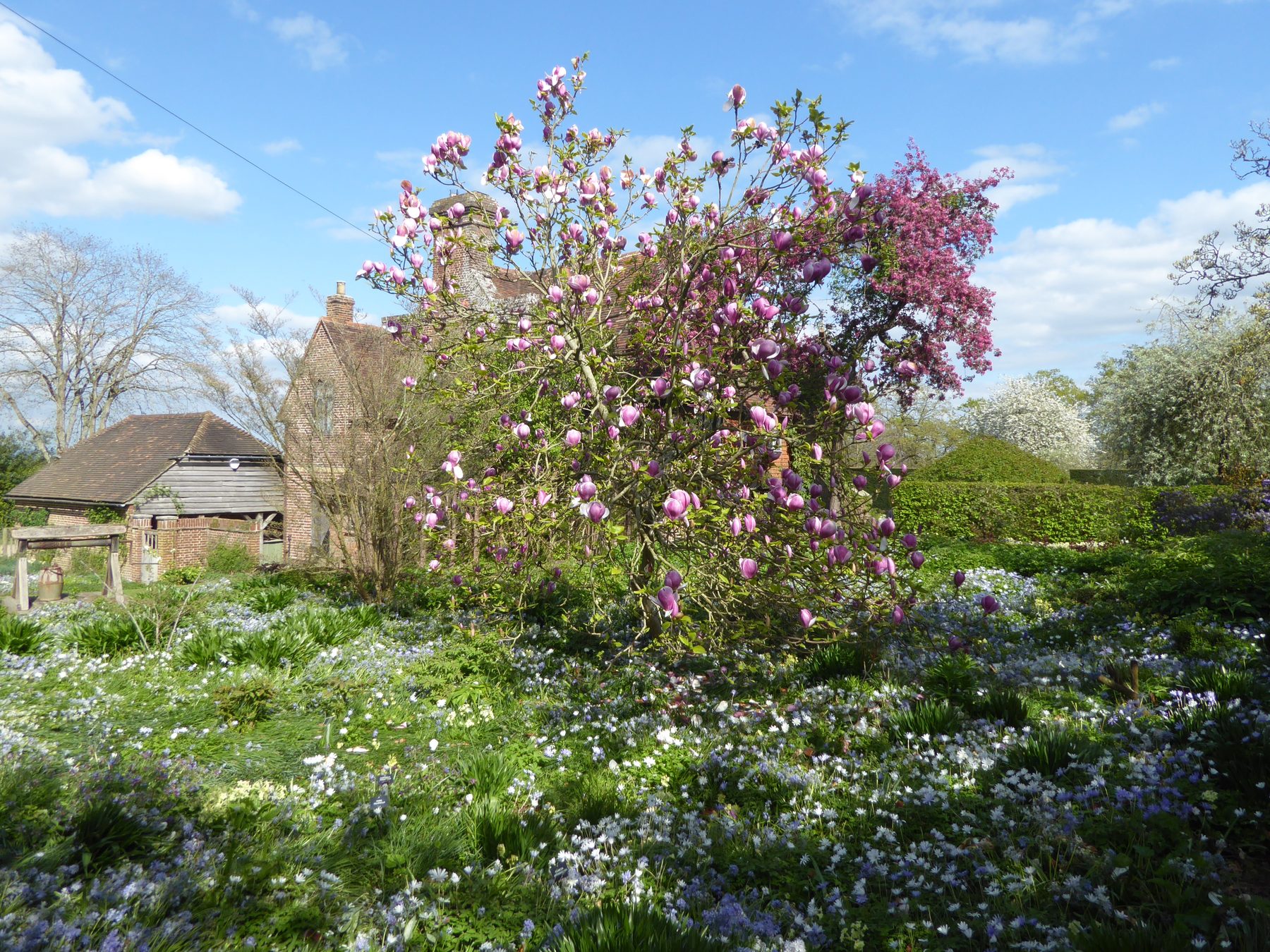 Sissinghurst and the Weald Walk