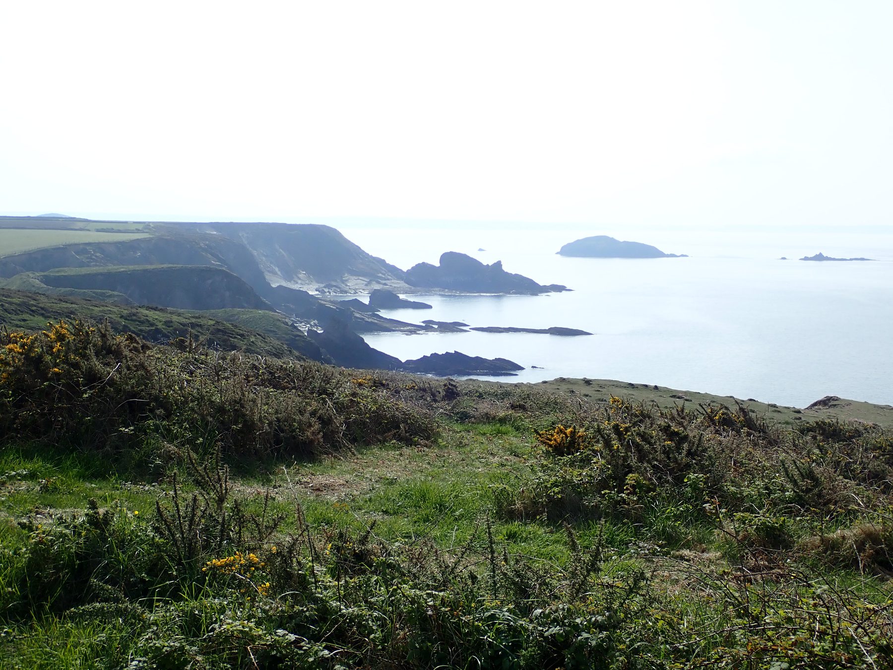 Solva to St Davids Coastal Walk