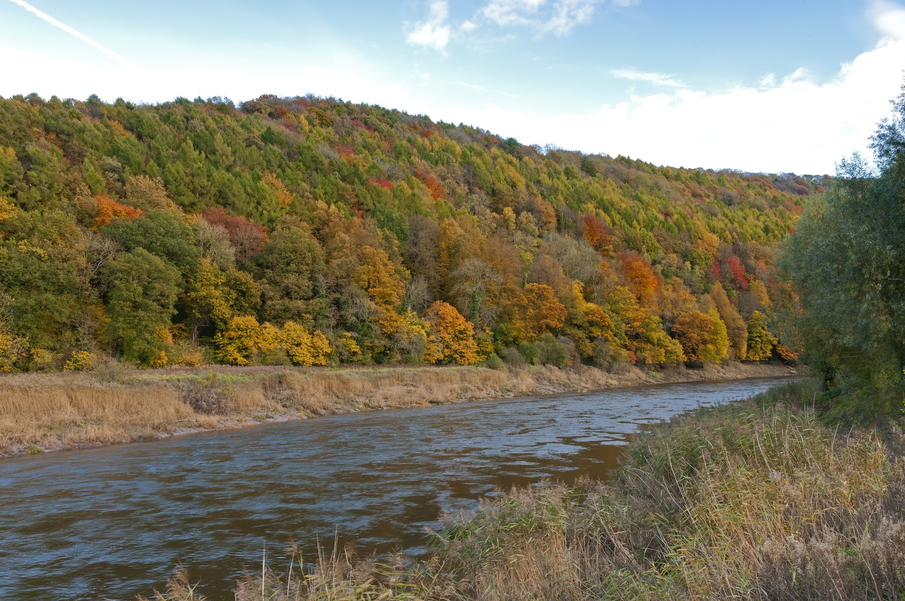 Tintern Abbey and the Wye Valley Walk