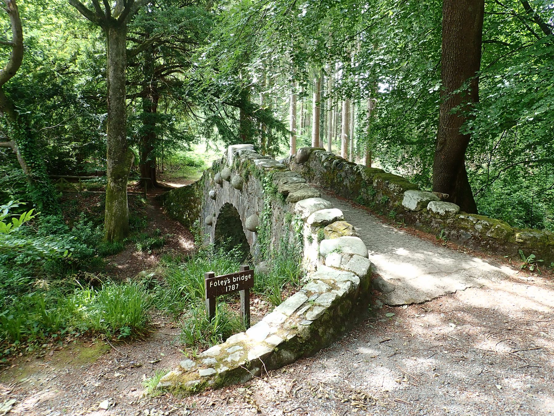 Tollymore Forest Park Extended Circuit