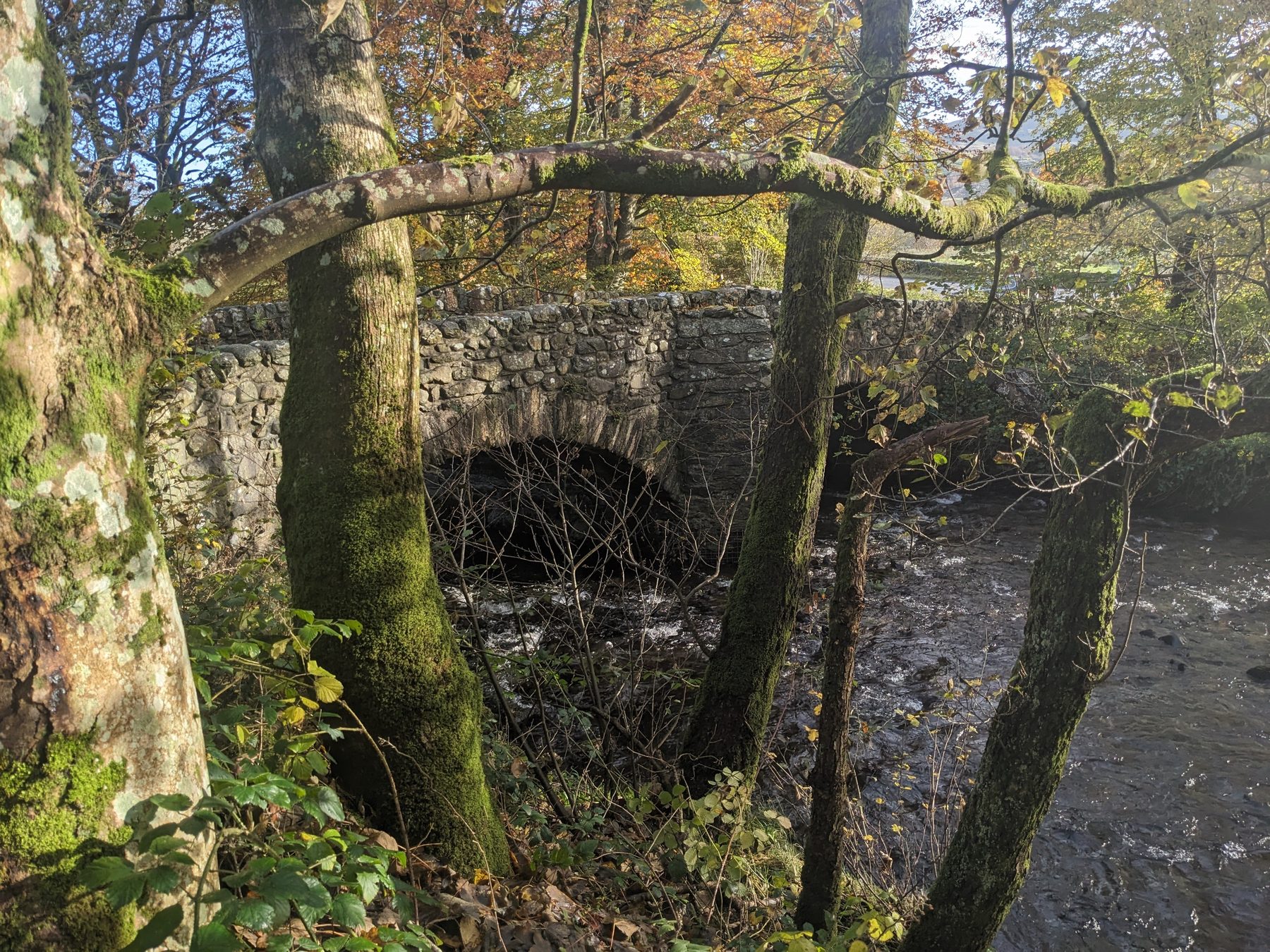 Torrent Walk, Dolgellau