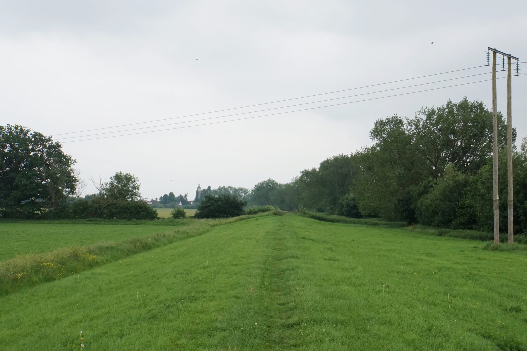Upton Country Park and River Severn Walk