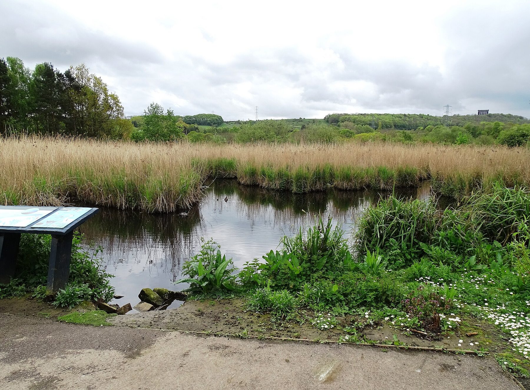 Washington Wetlands and River Wear Walk