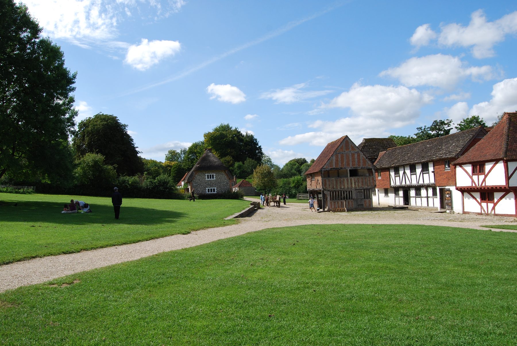 Weald and Downland Museum and Forest Walk