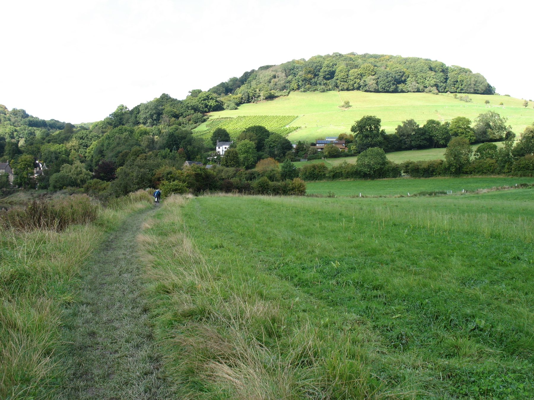 Wye Valley: Brockweir to Bigsweir Bridge