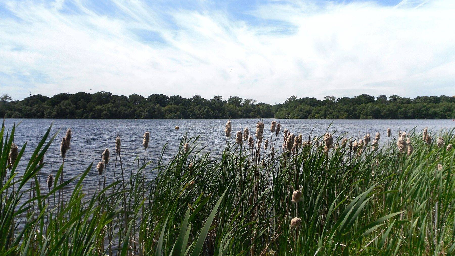 Aldenham Country Park Reservoir Walk