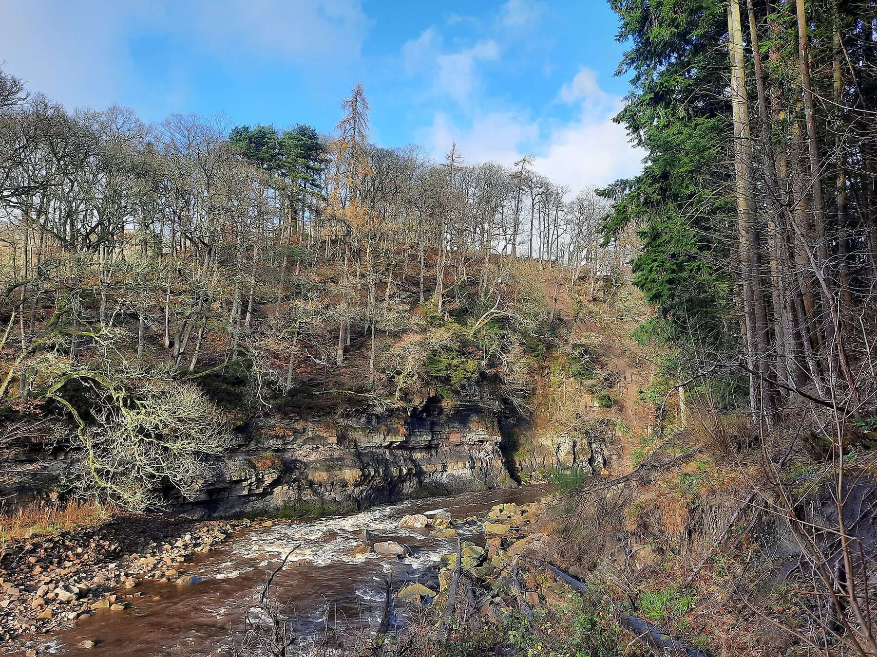 Allen Banks and Staward Peel Circular