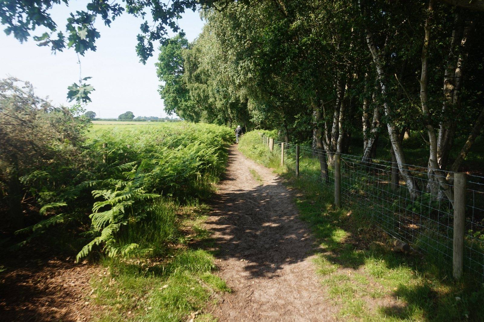 Allerthorpe Woods and Common Circular