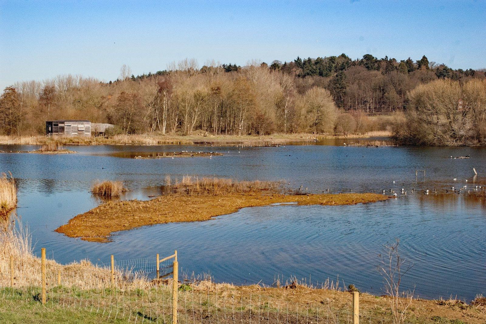 Amwell Nature Reserve Walk