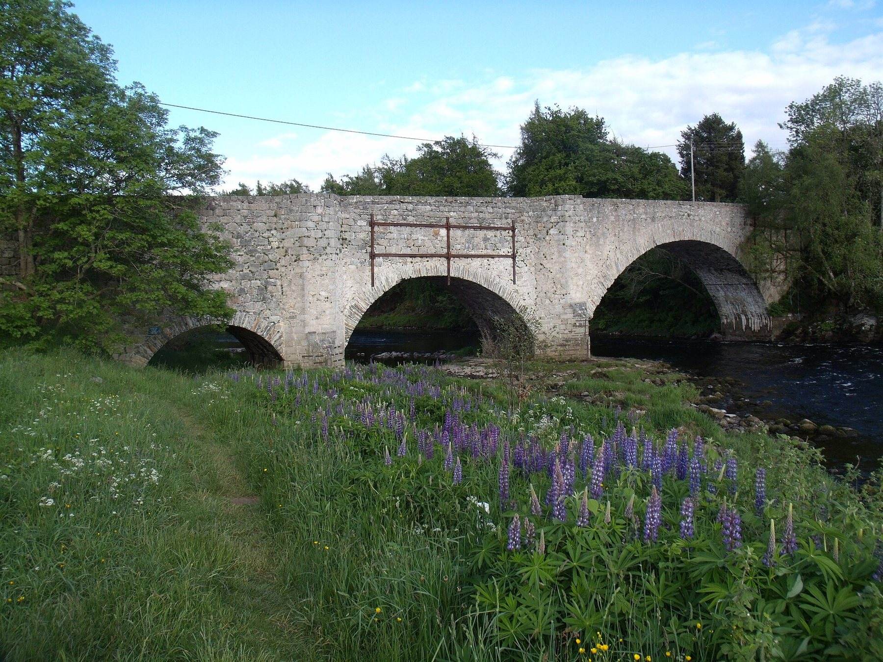Anagach Woods and the River Spey, Grantown-on-Spey