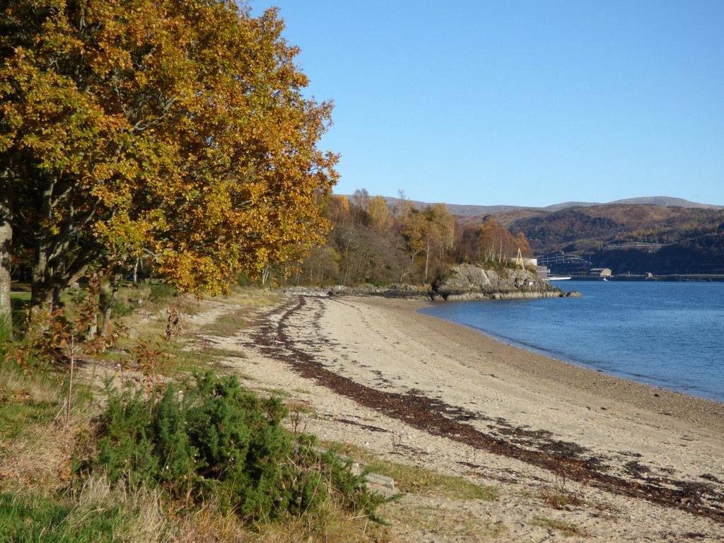 Ardentinny Forest and Finart Bay Walk