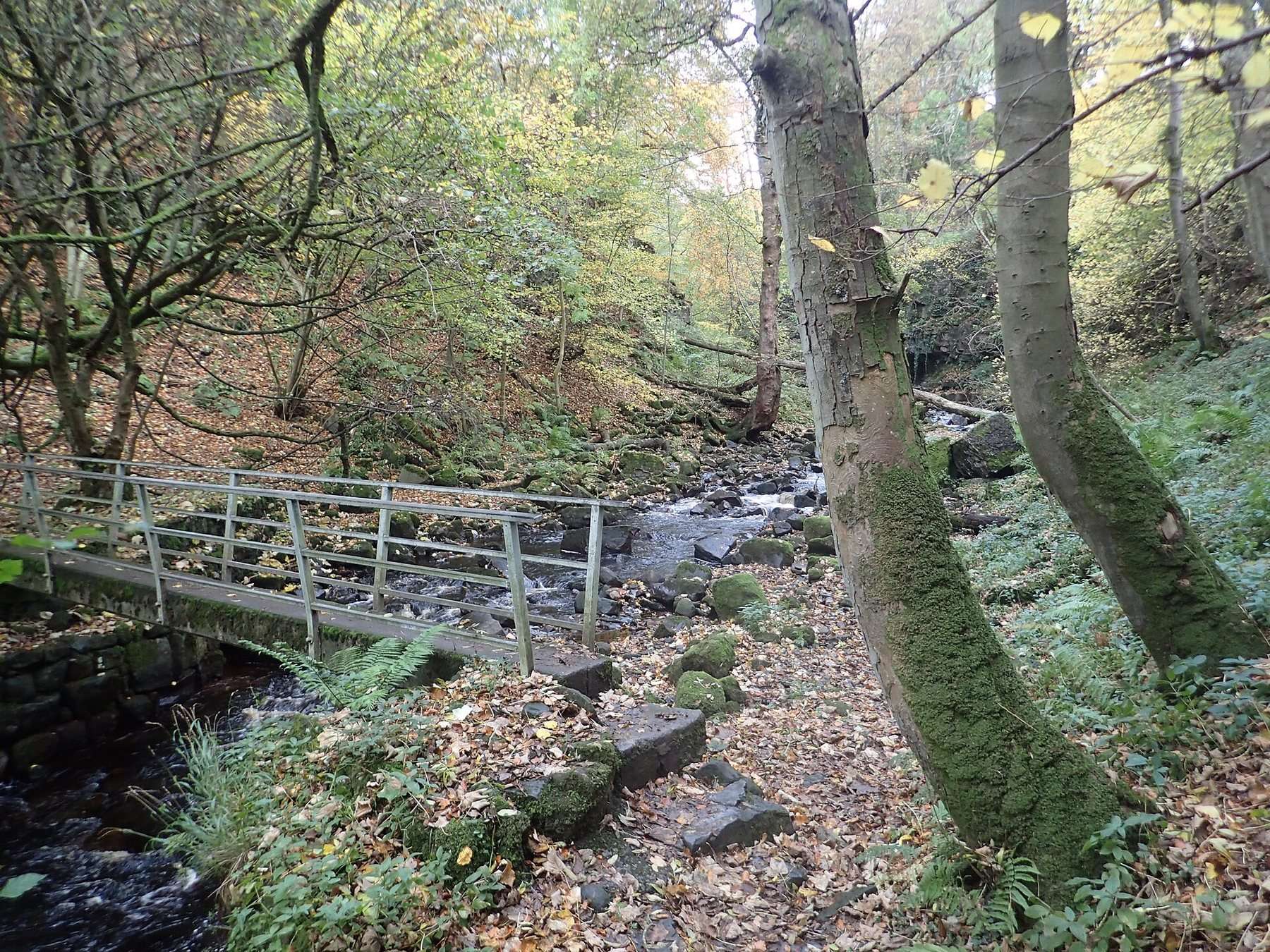 Askrigg Waterfalls: Mill Gill Force and Whitfield Gill Force