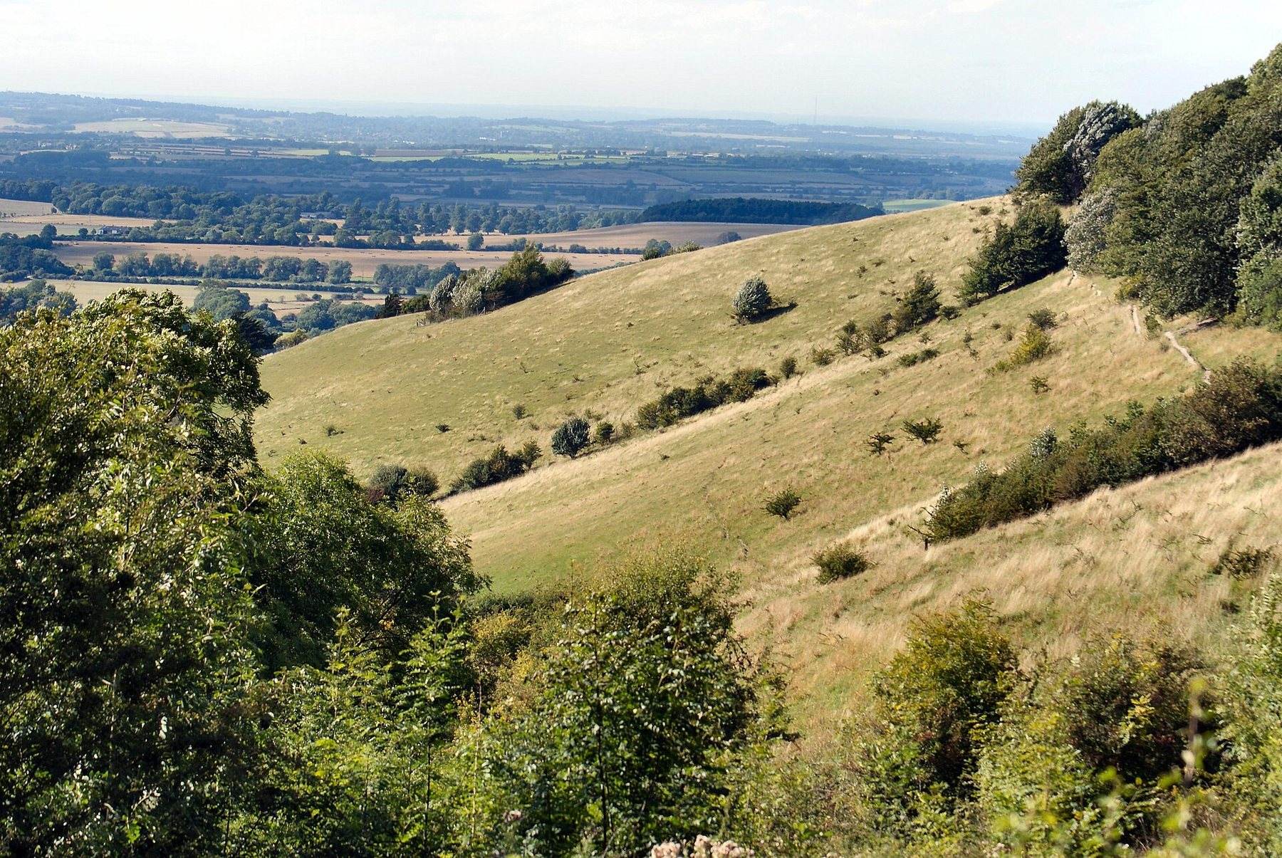Aston Rowant National Nature Reserve Talking Trail