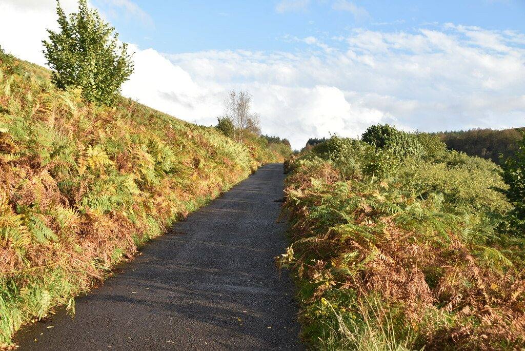 Banagher Glen and Dam Walk