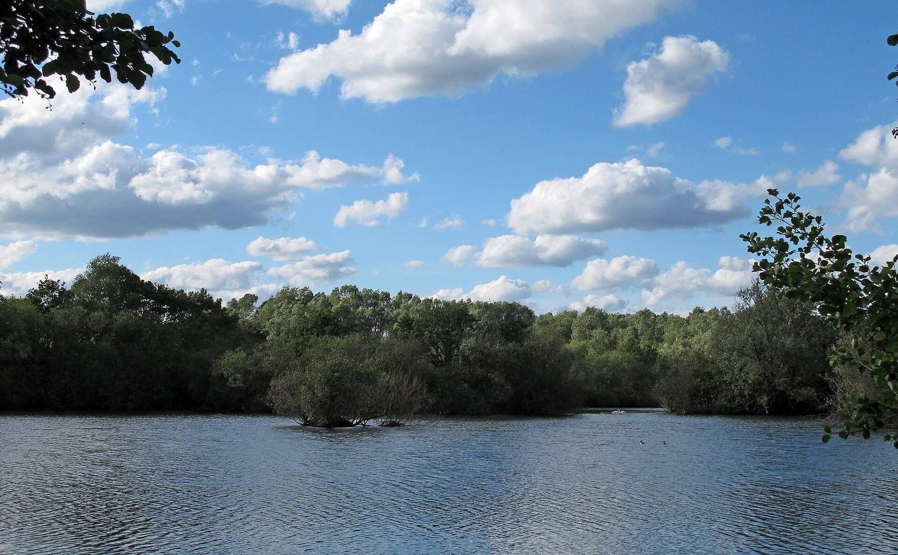 Belhus Woods Country Park Lakes Walk