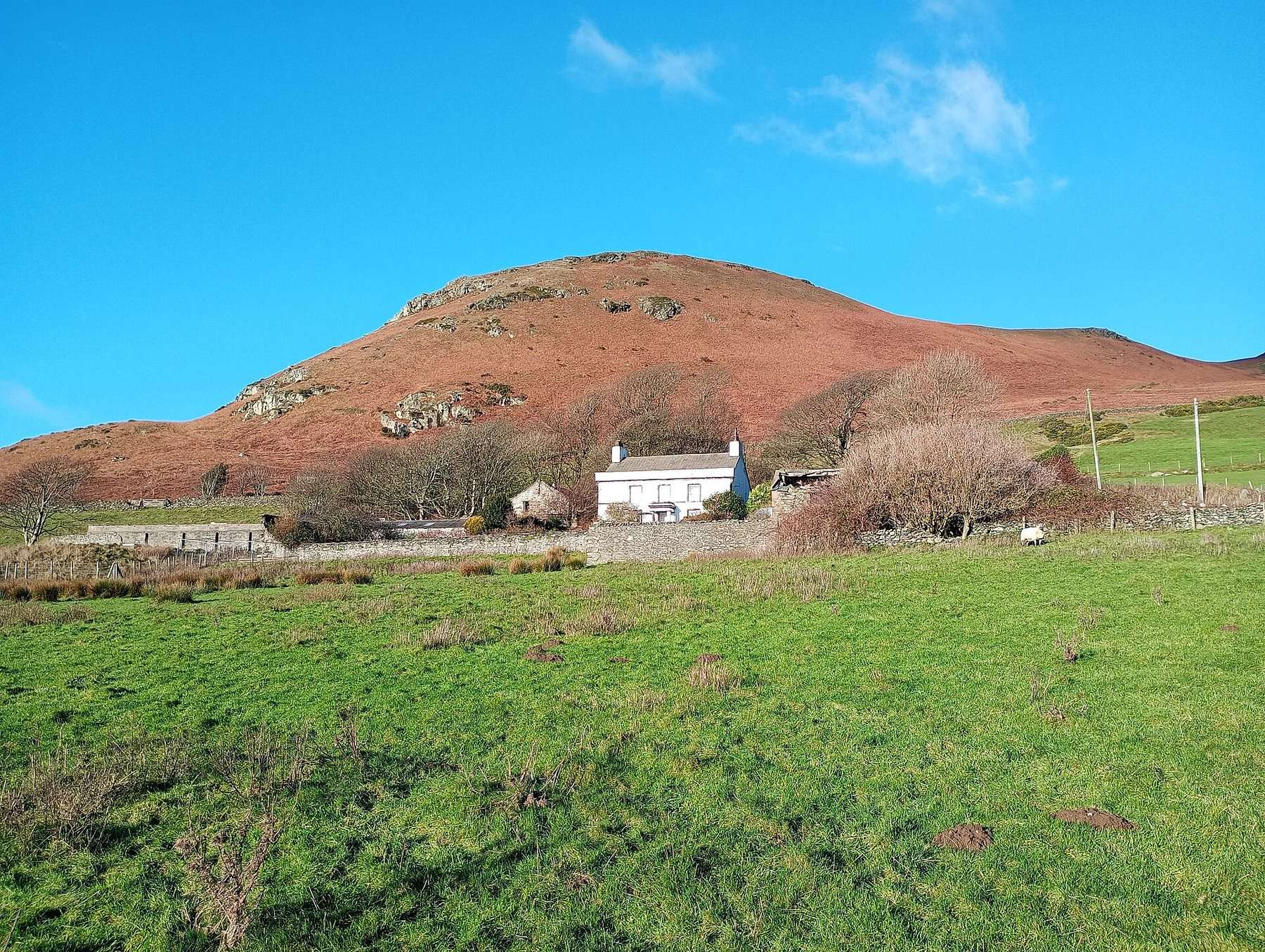 Black Combe from Whicham