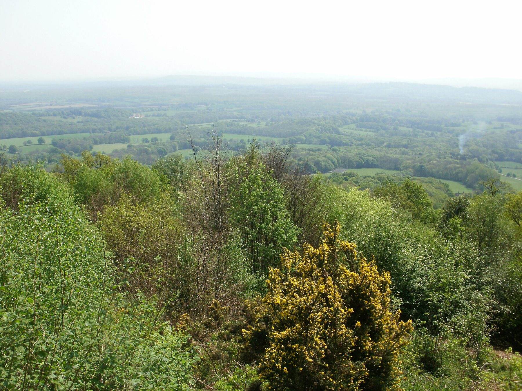 Black Down and the Temple of the Winds