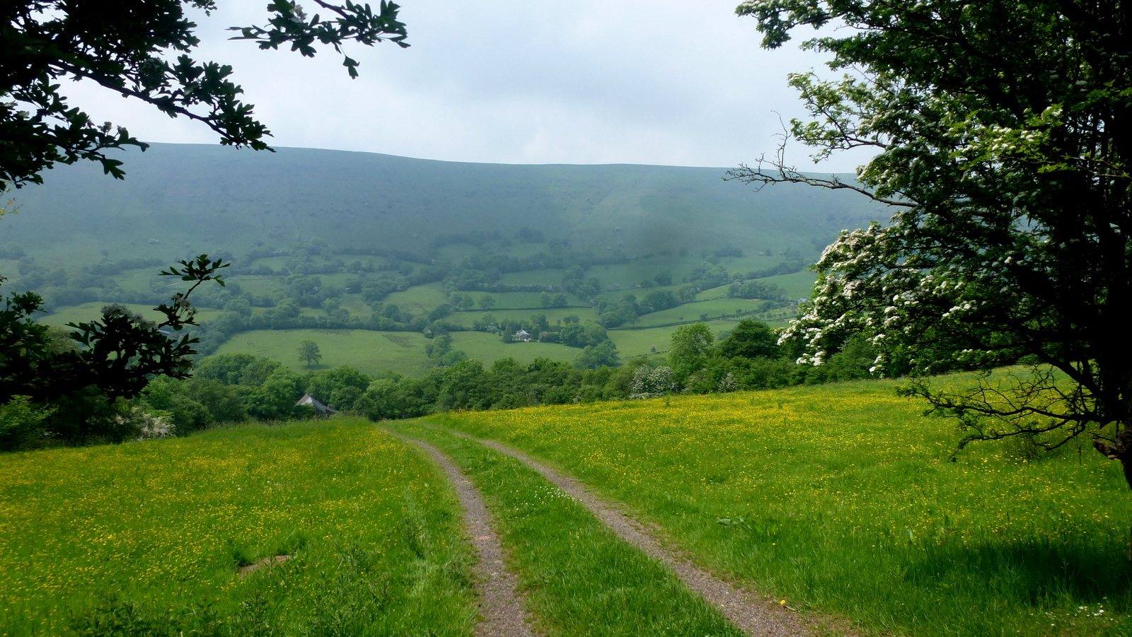 Black Hill (Cat's Back) from Olchon Valley