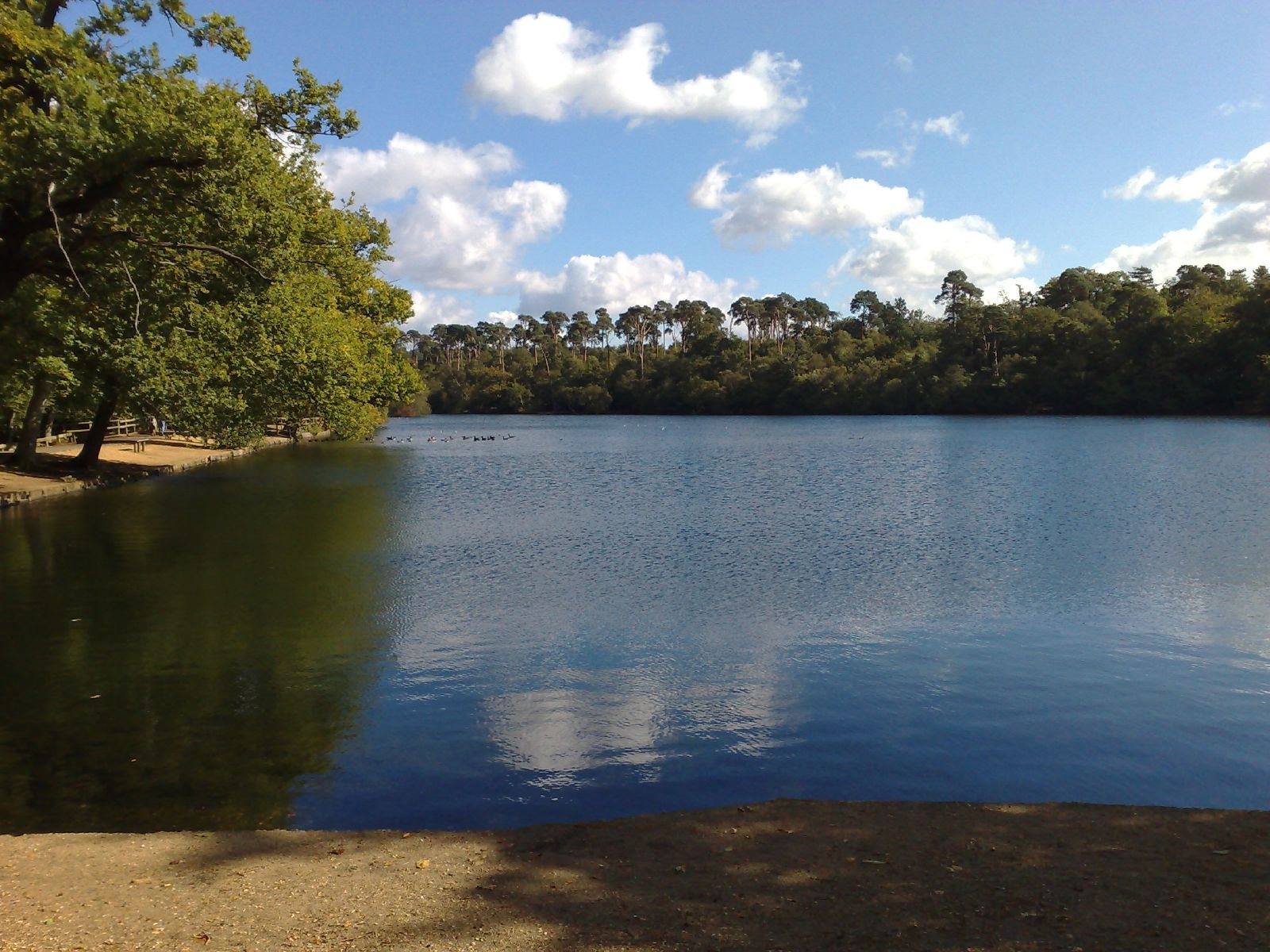 Black Park Lake Circular