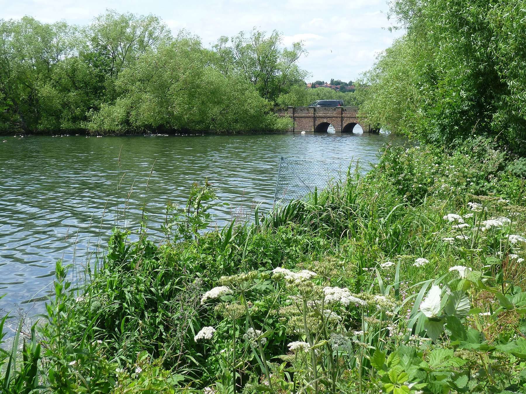 Brent Reservoir (Welsh Harp) Circular