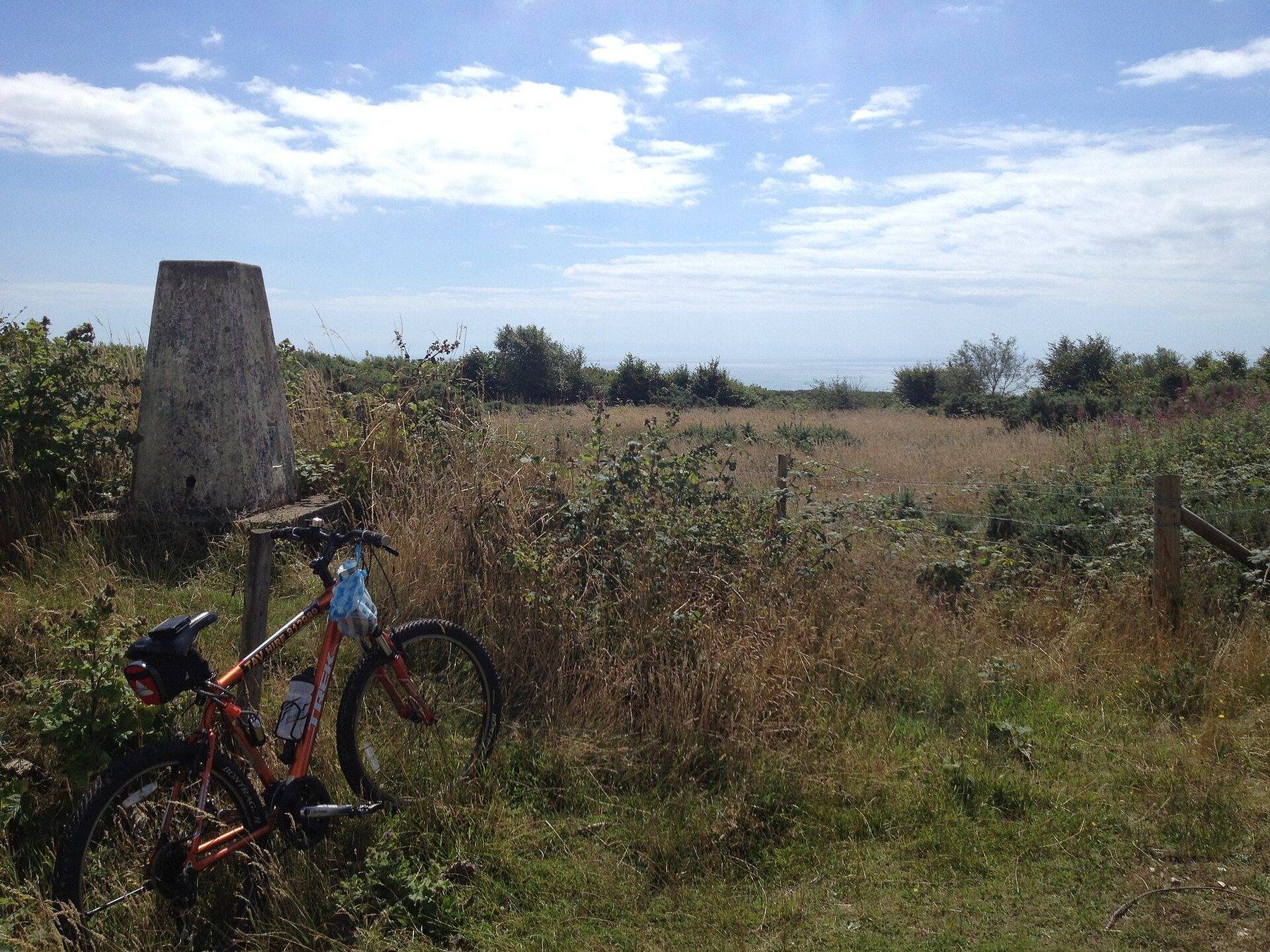 Brighstone Forest and Brighstone Down Circular