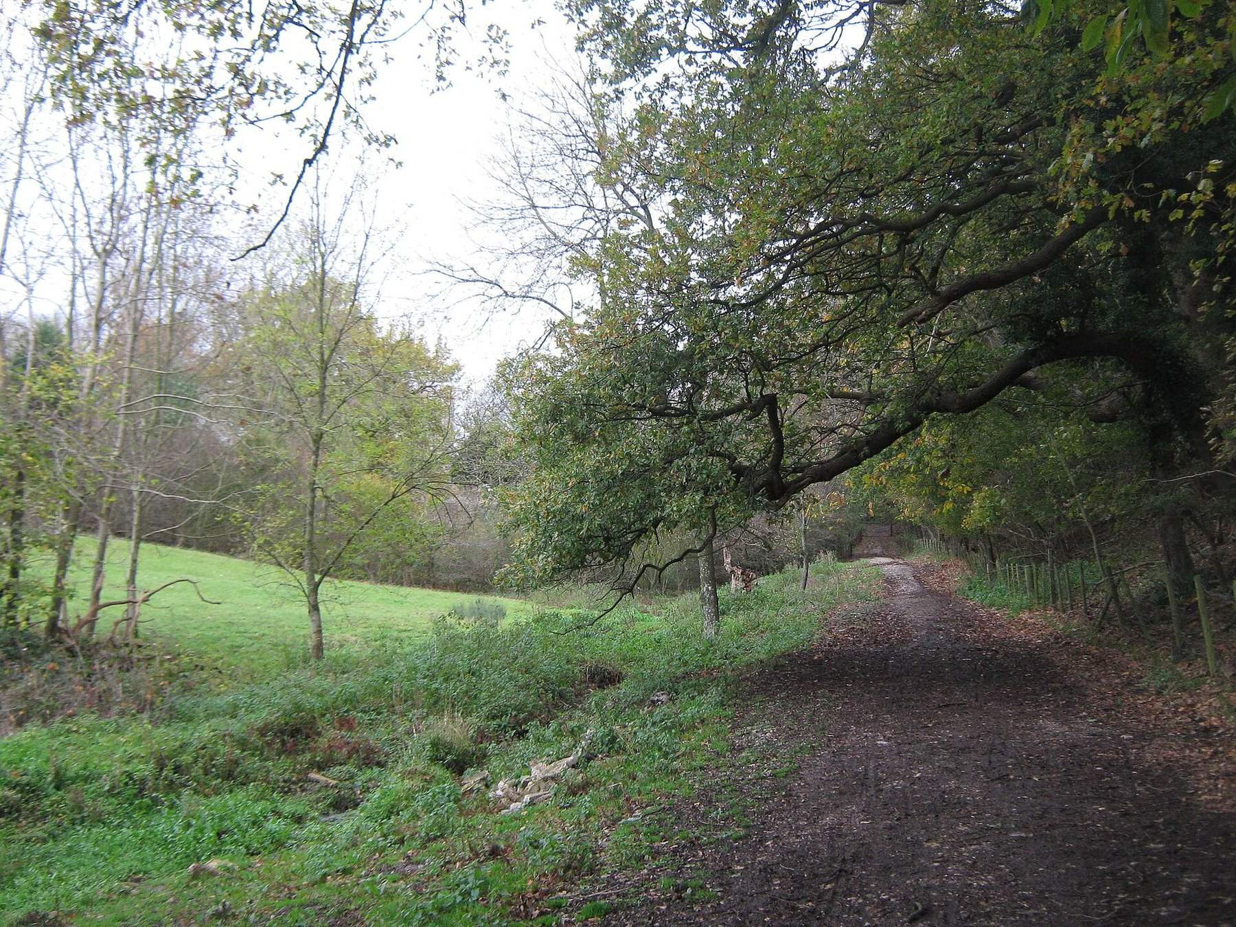 Brockhill Country Park and Saltwood Castle Walk