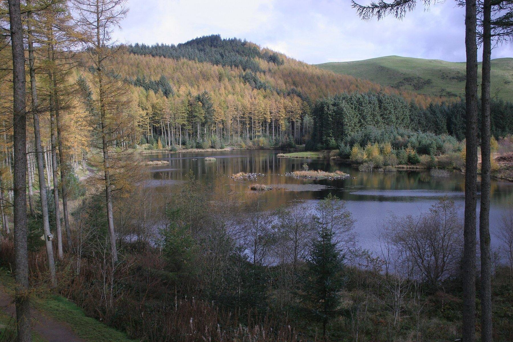 Bwlch Nant yr Arian Ridgetop Trail