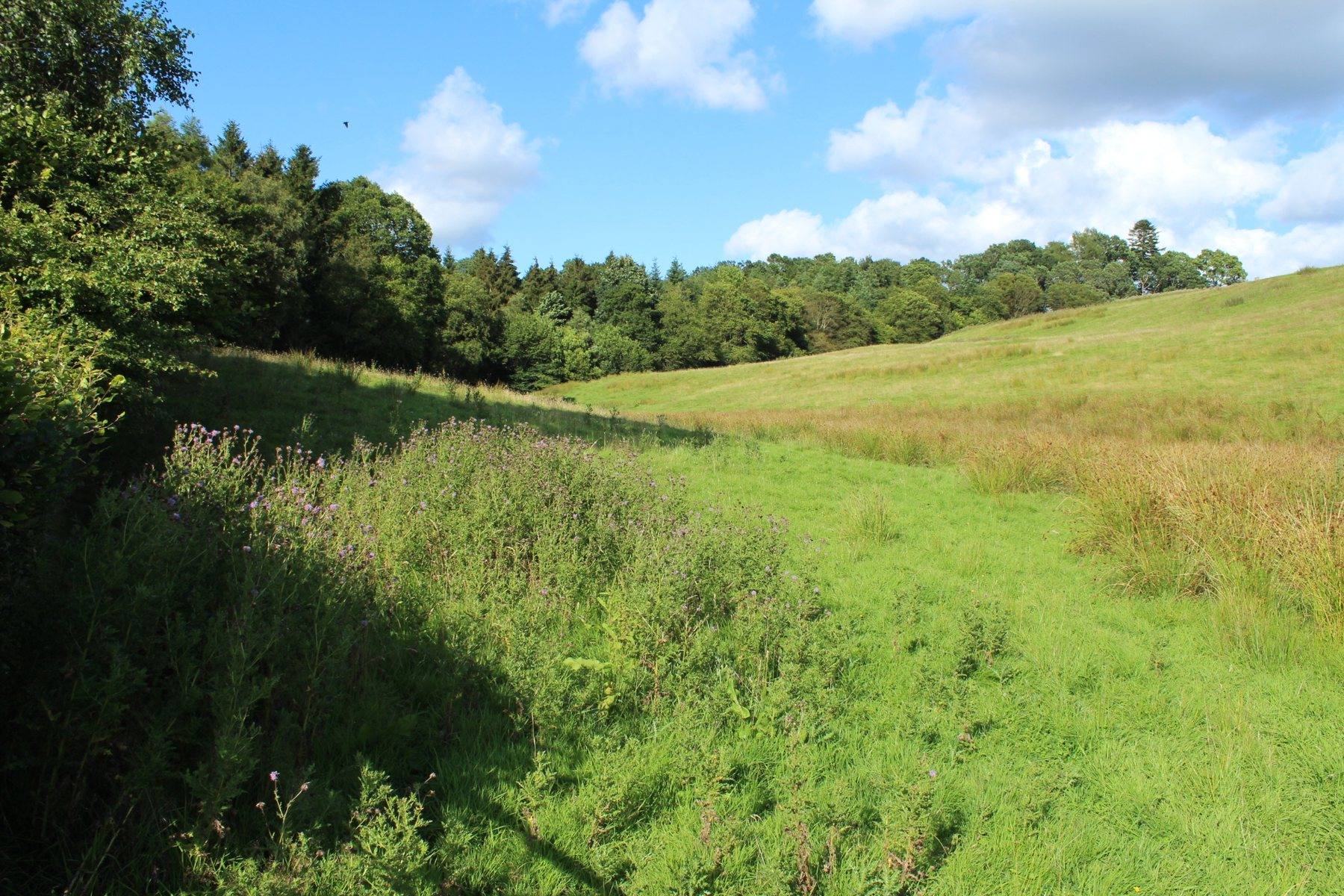 Carronbridge Nithside Walk