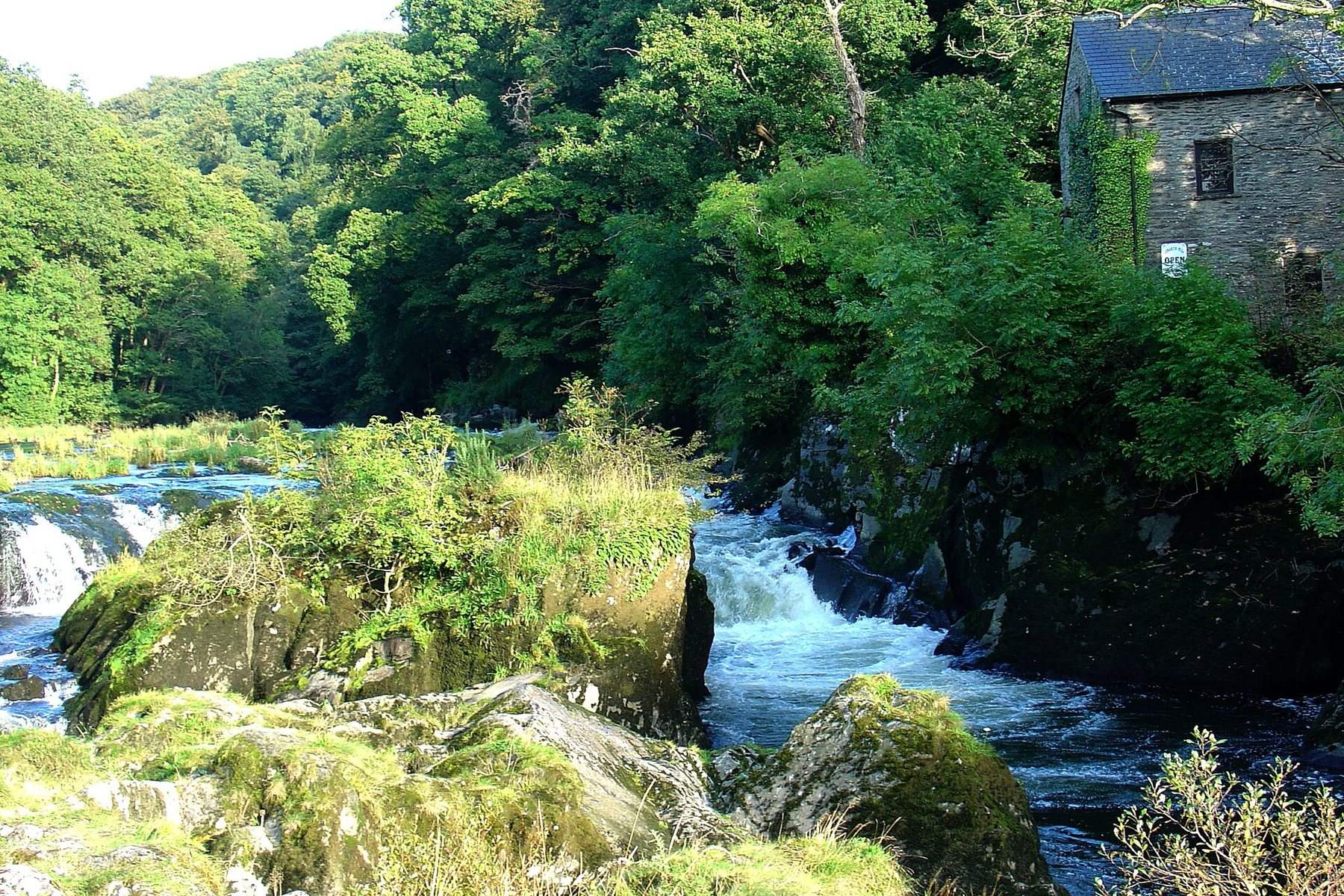 Cenarth Falls Riverside Circular