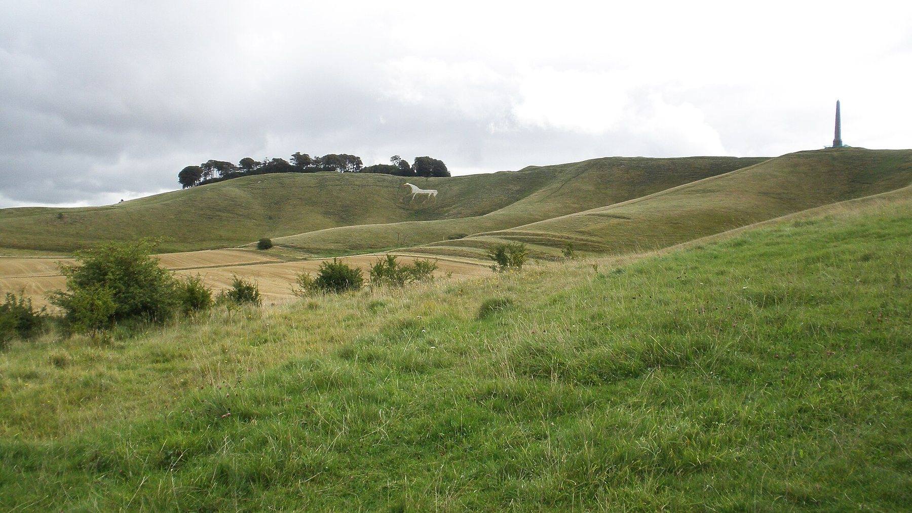 Cherhill White Horse and Lansdowne Monument Circular