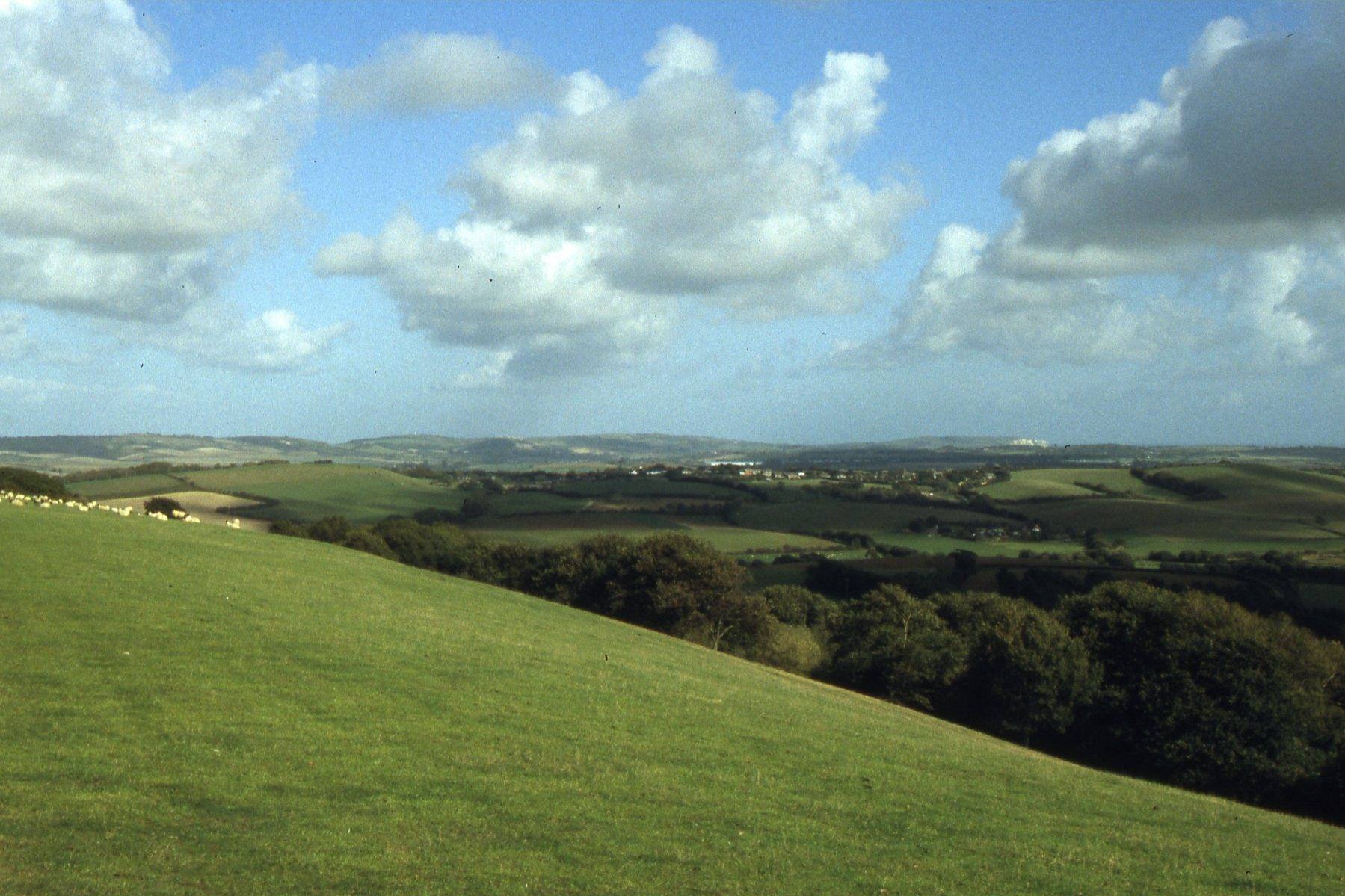 Chillerton Down Circular