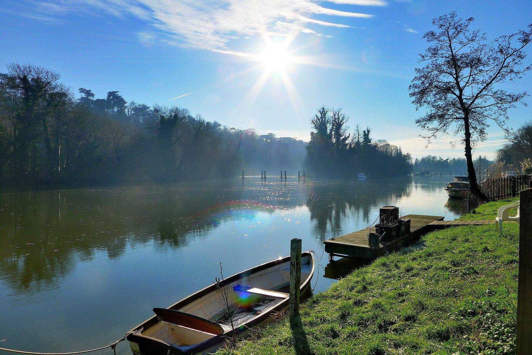 Cliveden Woodland and the Thames