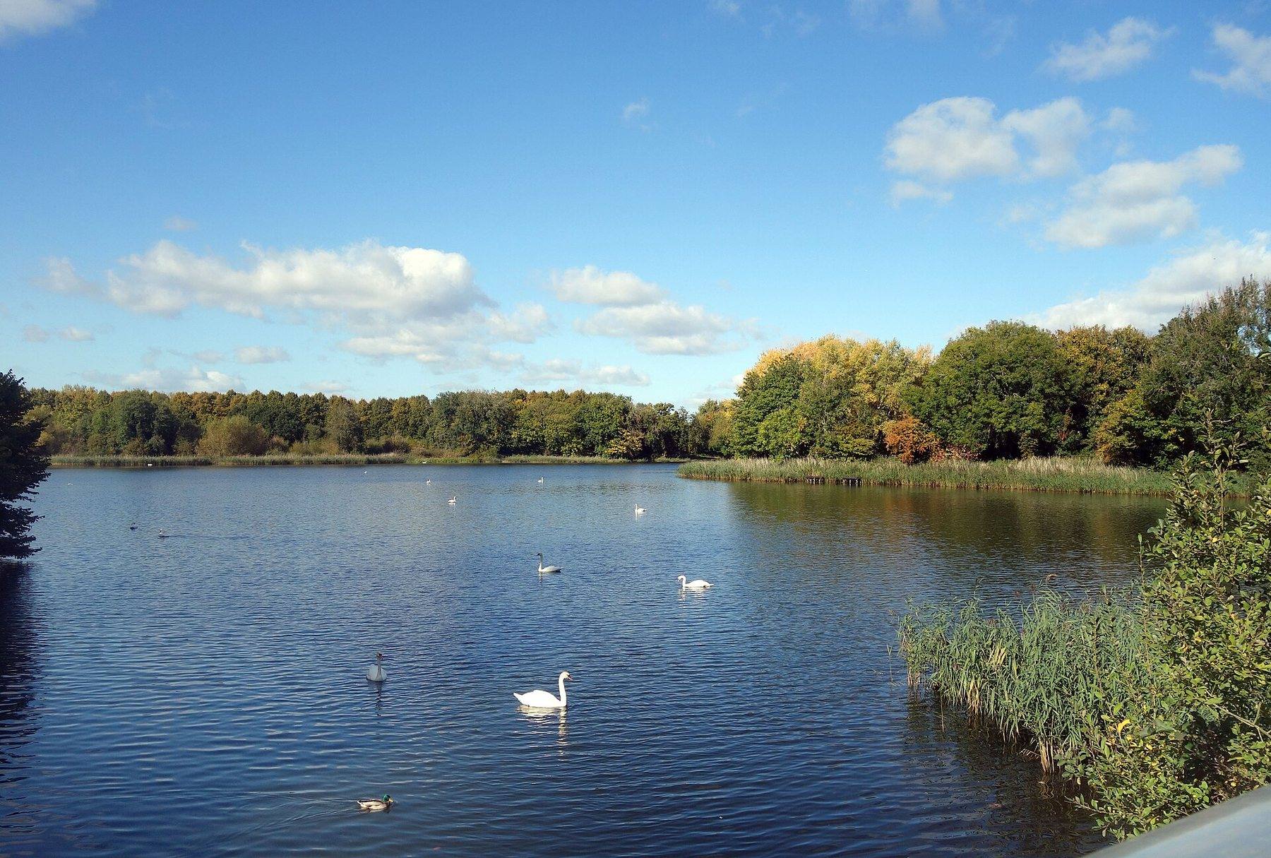 Coate Water Country Park Lake Walk