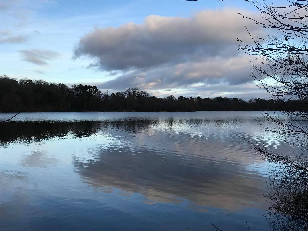 Colemere and the Llangollen Canal